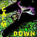 CALM DOWN by ROZZ & ROLL
