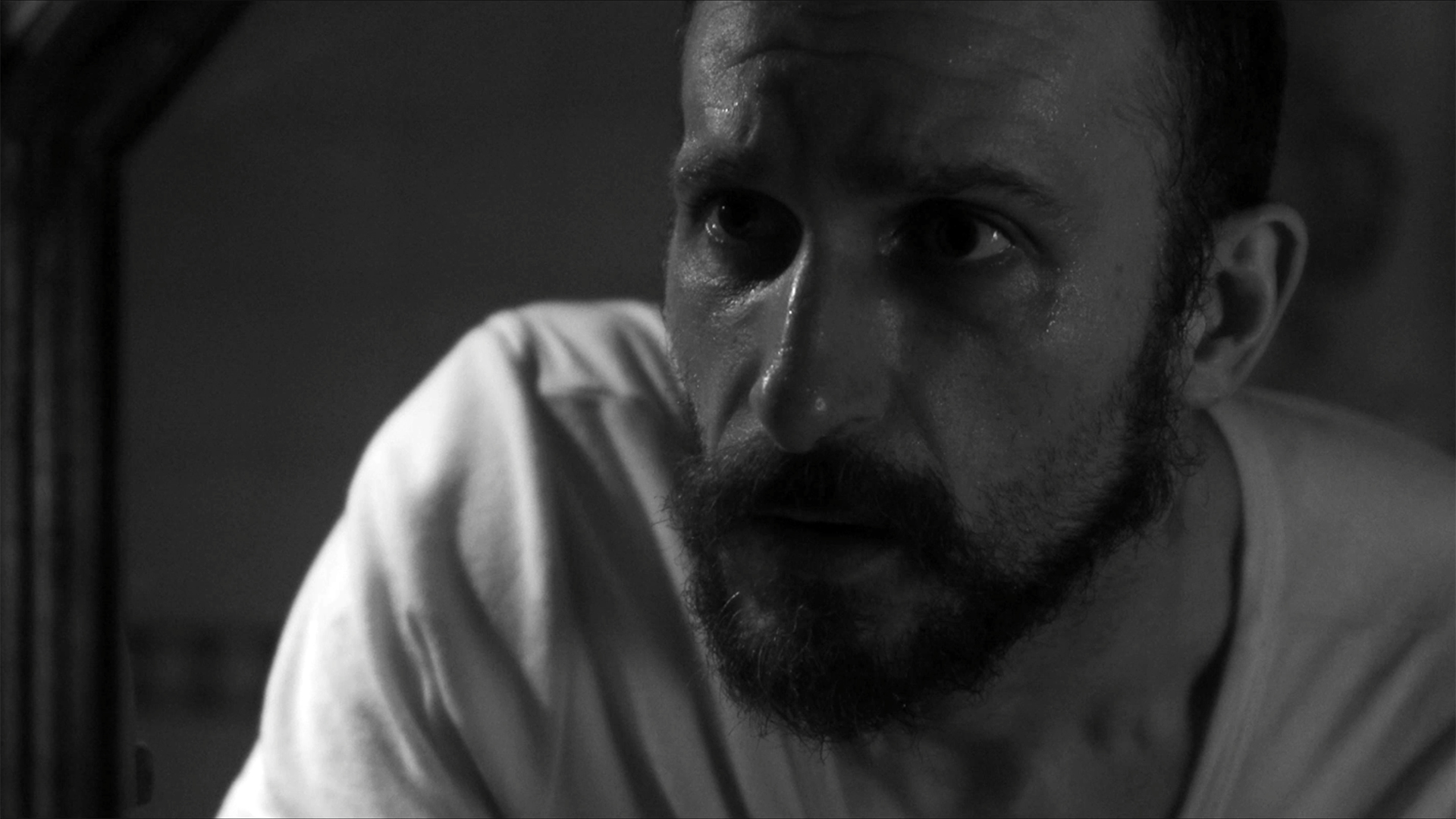 Scratched film di David Petrucci